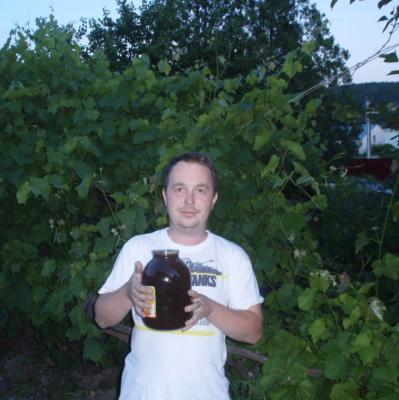 Прикрепленное изображение: honey.jpg